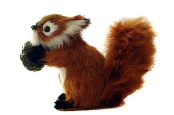 Wiewiórka z nakrętką — Zdjęcie stockowe