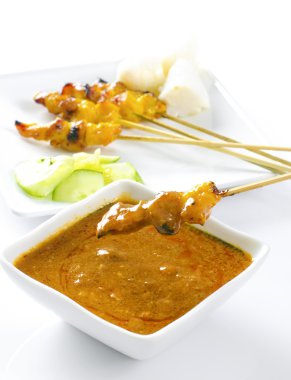 tavuk satay