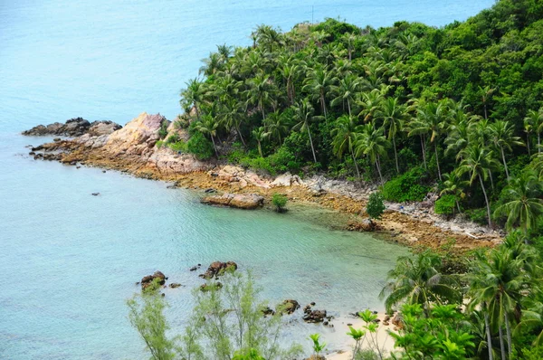 Coco natural na praia rochosa — Fotografia de Stock