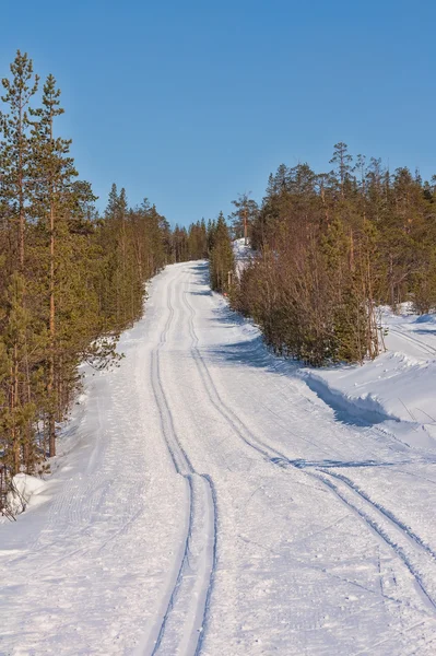 Ski track cross-country skiing — Stock Photo, Image