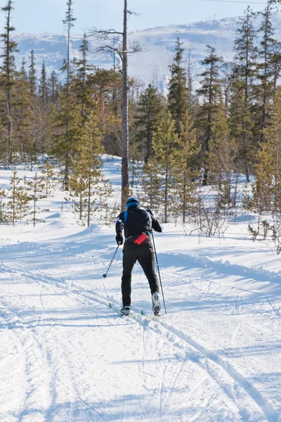 Esquiador corre esqui cross-country — Fotografia de Stock