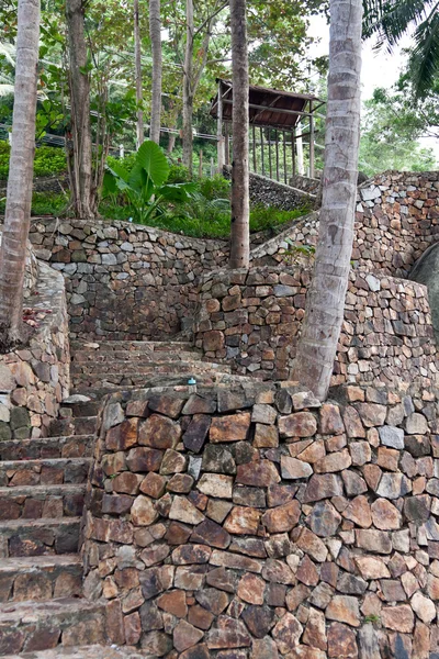Steintreppe im Dschungel — Stockfoto