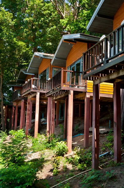 Maison dans une forêt tropicale — Photo