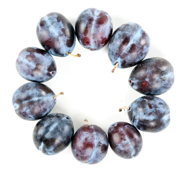 Ripe plums arranged around — Stock Photo, Image