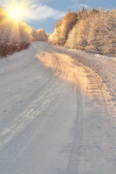 冬の道 — ストック写真