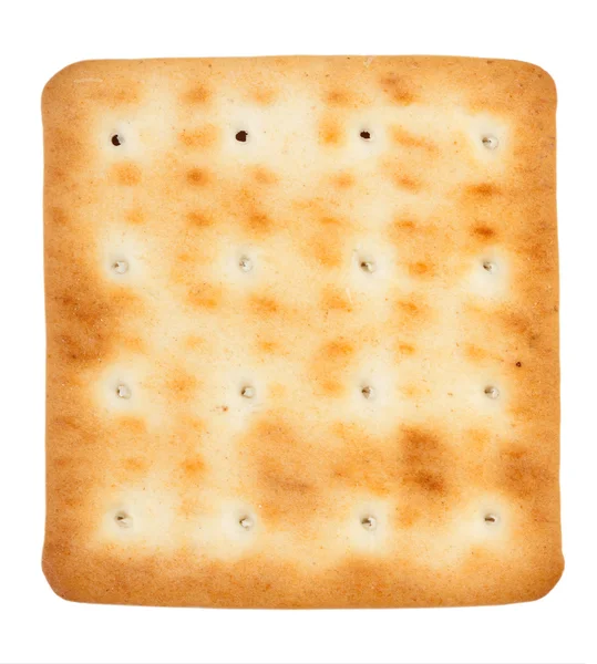 One of biscuits — Stock Photo, Image