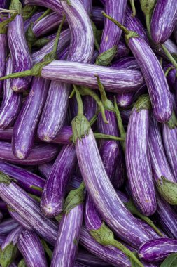 Eggplants on vegetable market clipart