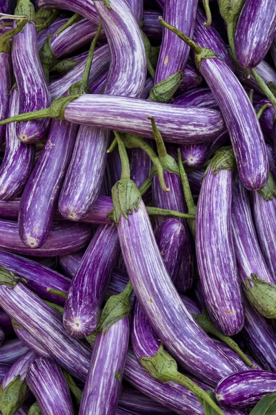 Eggplants on vegetable market — Stock Photo, Image