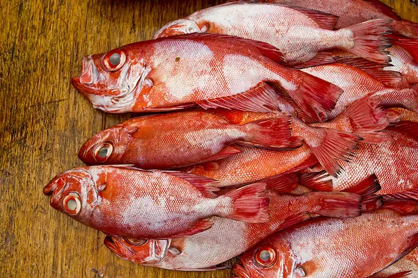 Gruppe frischer roter Schnappfische auf dem Markt Stockbild