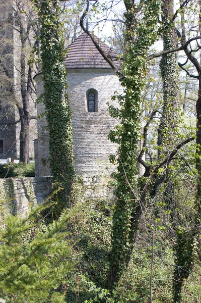 チェシンの城の丘の上に円形建築 — ストック写真