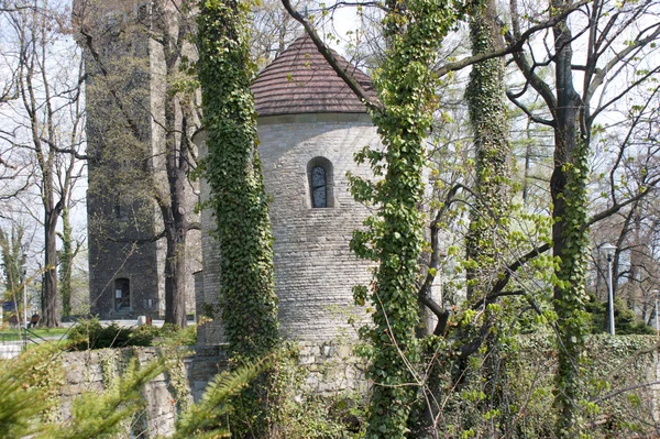 Torre e rotonda sulla collina del castello a Cieszyn — Foto Stock