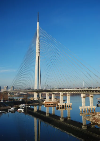 Pylon bridge over Ada, Belgrade - Serbia — Stock Photo, Image