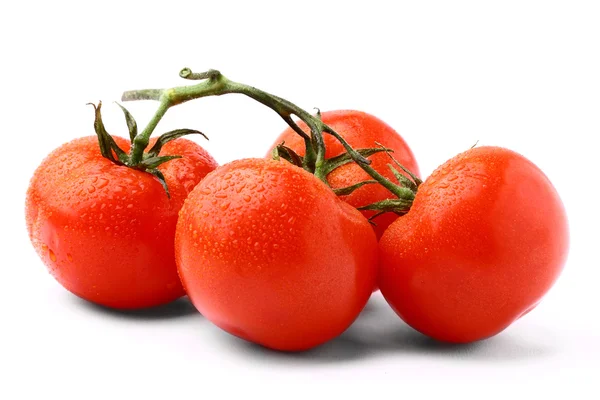Bündel leckerer frischer Tomaten isoliert auf weißem Hintergrund — Stockfoto