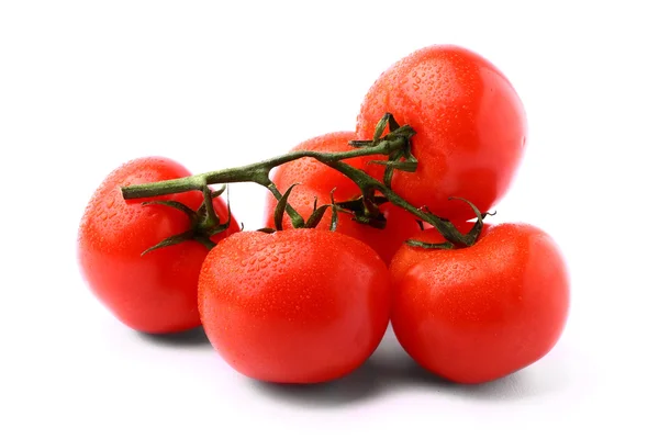 Куча вкусных свежих помидоров на белом фоне — стоковое фото