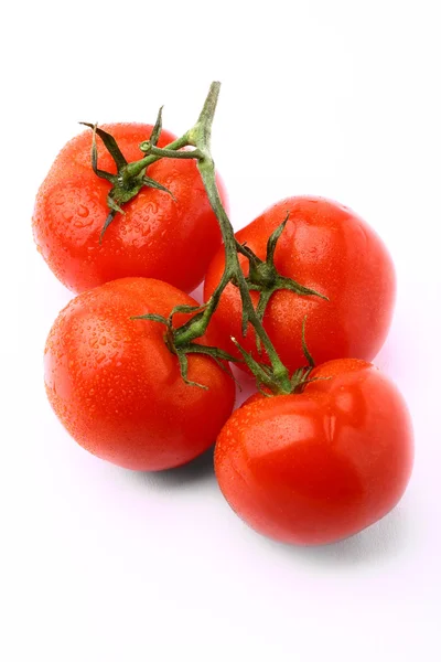 Bouquet de délicieuses tomates fraîches isolées sur fond blanc — Photo