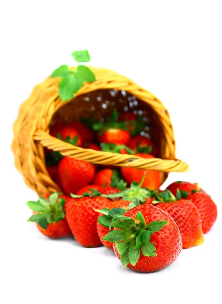 Căpșuni delicioase în coș izolate pe alb — Fotografie, imagine de stoc