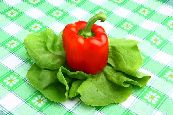 Läckra läckra röda paprika med färsk sallat — Stockfoto