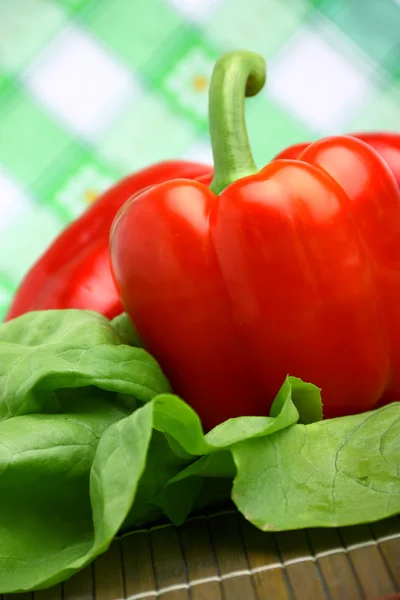 Läckra läckra röda paprika med färsk sallat — Stockfoto