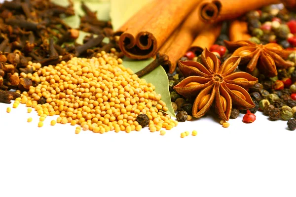 Pack of several spices, anise, cinnamon, pepper, charlock — Stock Photo, Image