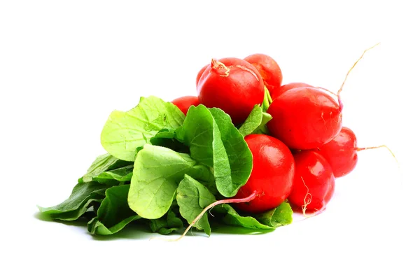 A bunch of delicious healthy radish — Stock Photo, Image