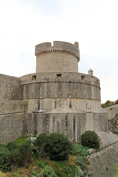 Château de Dubrovnik — Photo