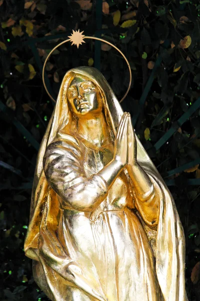 Madonna statua — Foto Stock