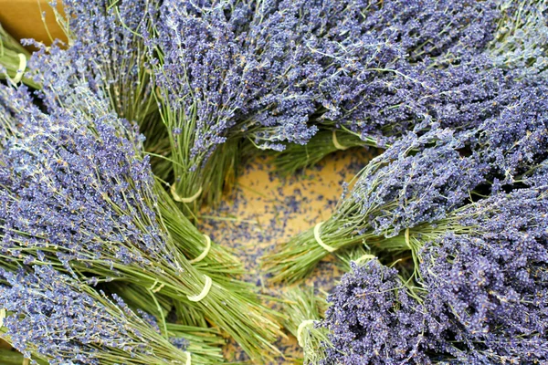 Lavender pile — Stock Photo, Image