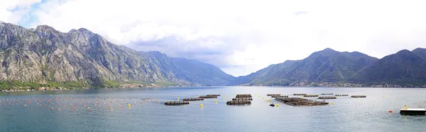 Aquaculture Montenegro — Stock Photo, Image