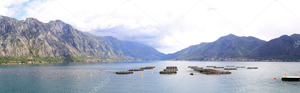 Aquaculture Montenegro