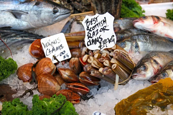 Färsk fisk och skaldjur — Stockfoto