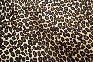 Leopard pattern clipart