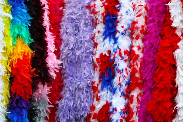 Карнавальные перья — стоковое фото