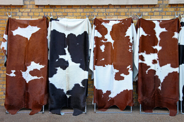 Cowhide