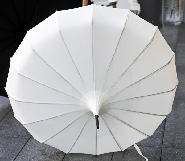 Witte parasol — Stockfoto