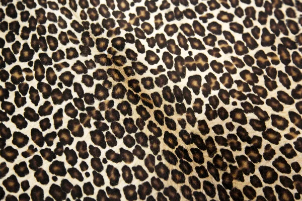 Modèle léopard — Photo