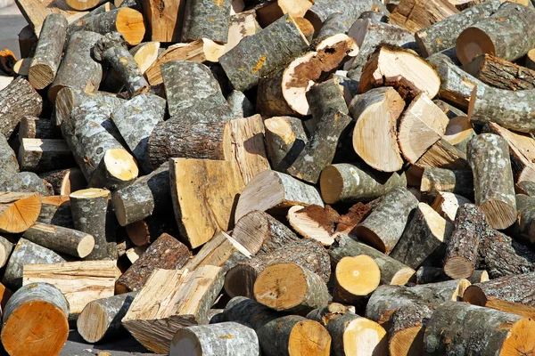 Brennholzstämme — Stockfoto