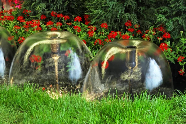Decorative fountains — Stock Photo, Image