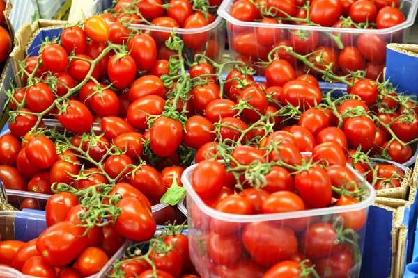 Baby tomato — Stock Photo, Image