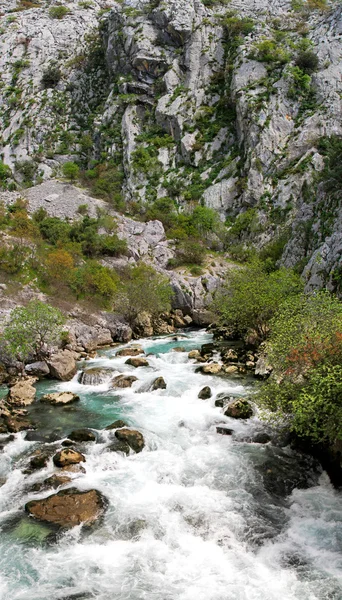 Ποταμός ljuta Μαυροβούνιο — Φωτογραφία Αρχείου