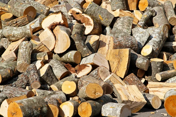Firewood — стоковое фото