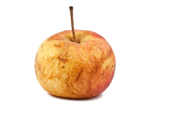 Морщинистое яблоко — стоковое фото