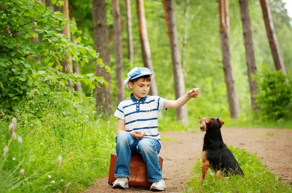 The boy with his dog in the forest — Stock Photo, Image