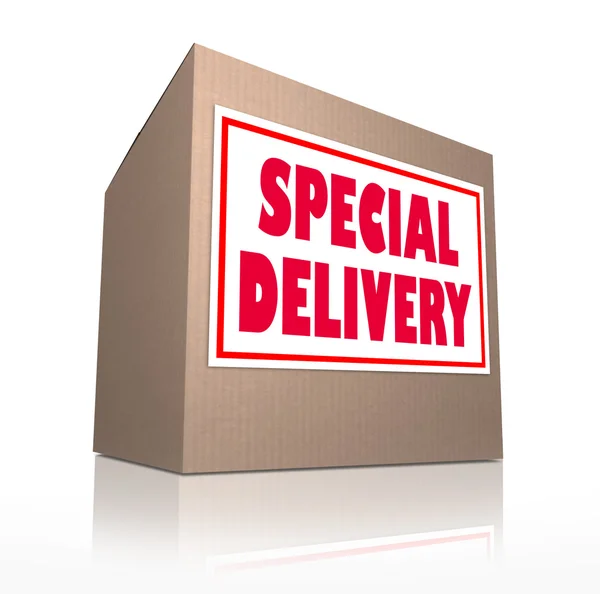 Special Delivery Mailed Cardboard Box Shipment — Stock Photo, Image