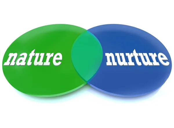 Doğa vs nurture - venn şeması — Stok fotoğraf