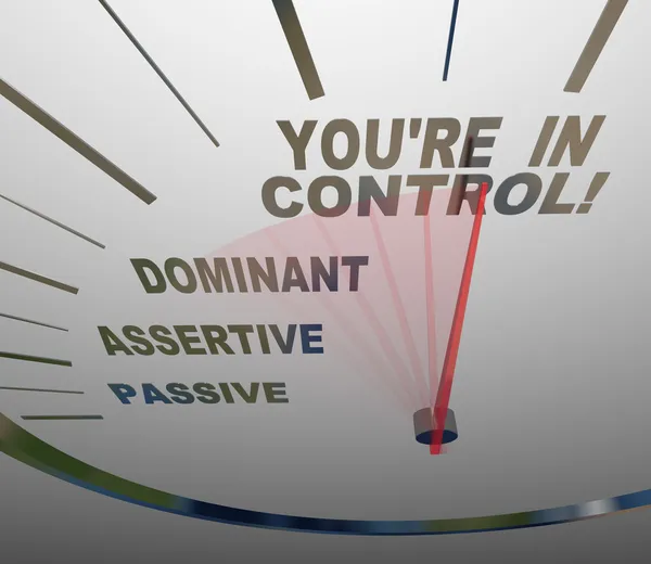 You're in Control Speedometer Agressive and Assertive — Stock Photo, Image
