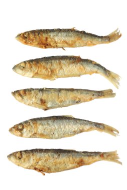 ızgara balık capelin