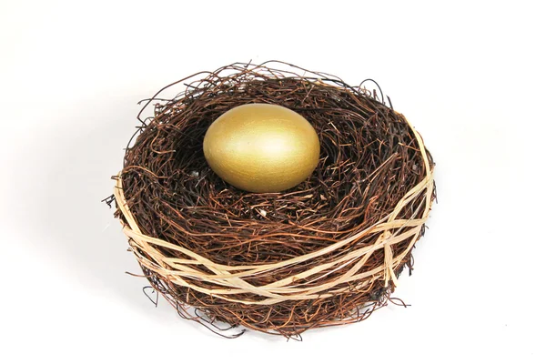 stock image Golden nest egg on white