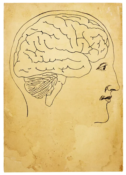 A régi stílusú fej és az agy illusztráció — Stock Fotó