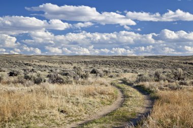 Sagebrush high desert in Wyoming clipart