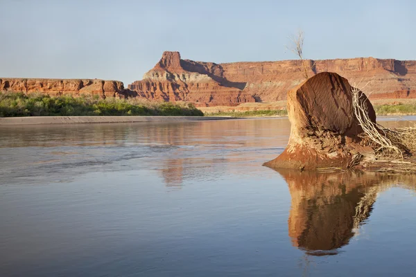 Colorado River in Canyonlands — Stock Photo, Image